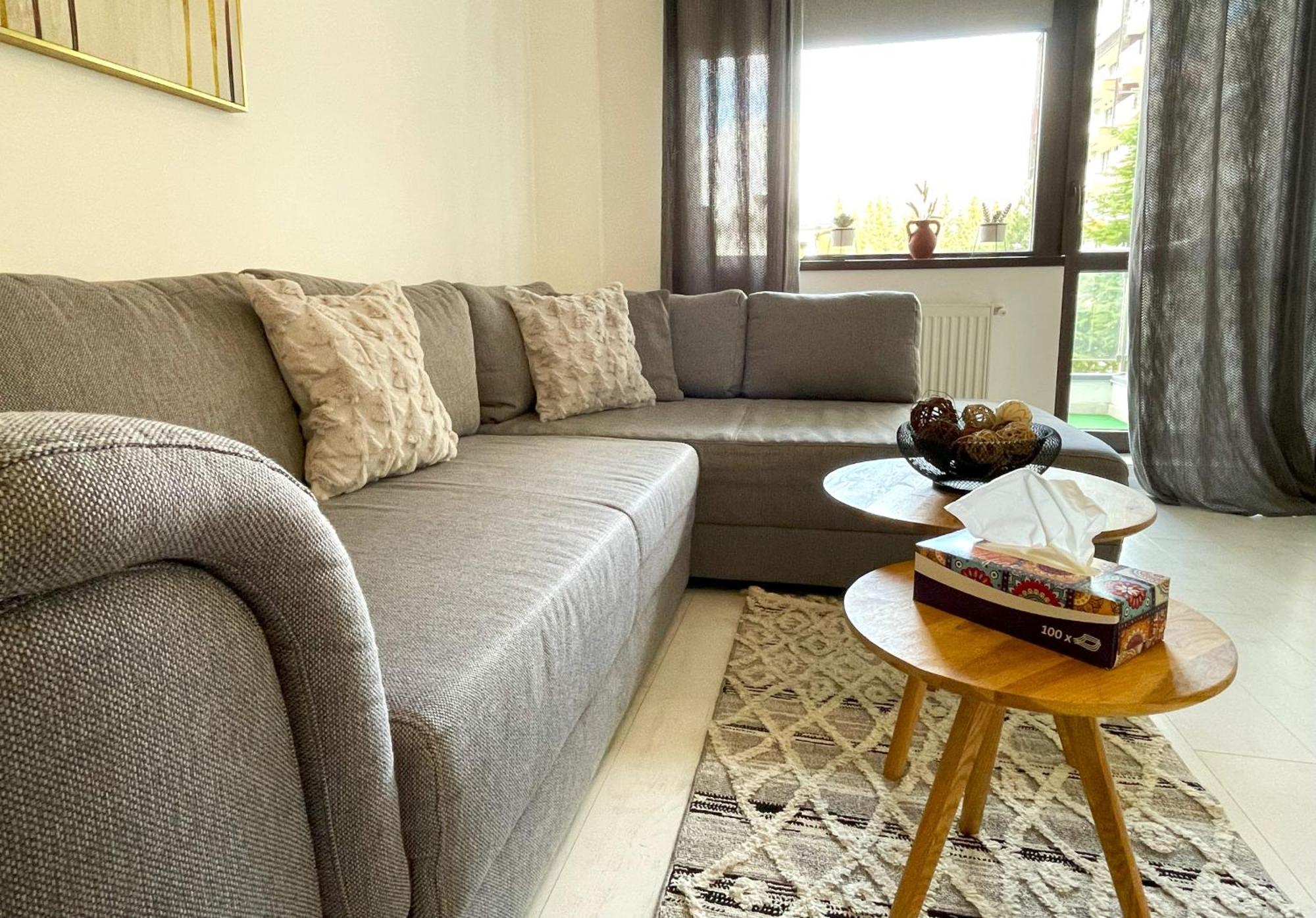 Apartment Alma Sinaia
