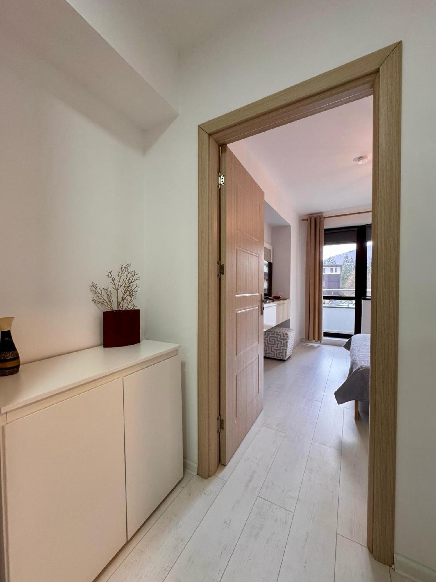Apartment Alma Sinaia